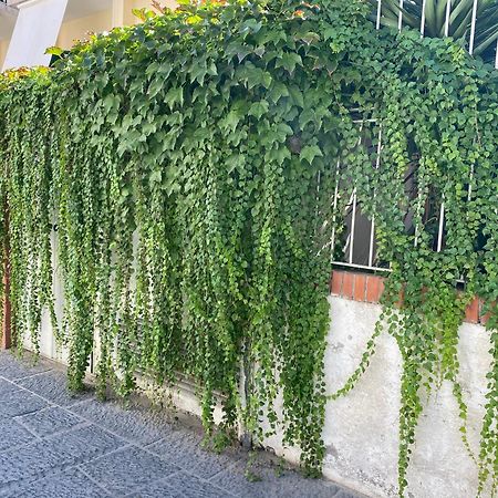 Ammore Ammare Apartment Ischia Exteriör bild